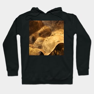 Brown dog face with eyes and snout Q Hoodie